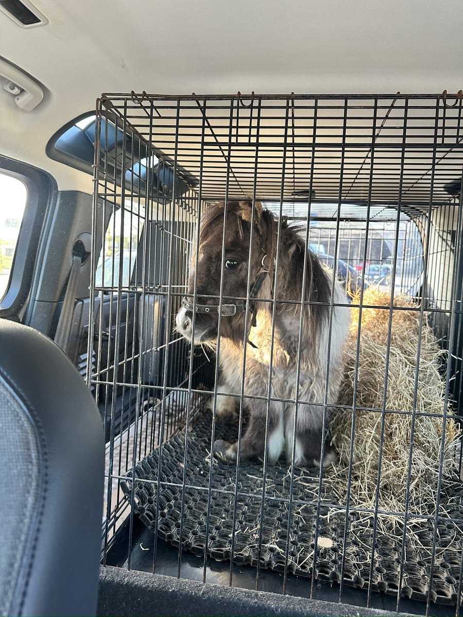 ๐
ข๐
๐
๐
ก๐
๐
๐
tweet media