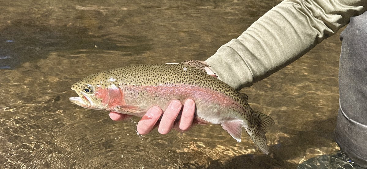 Sportsmans Warehouse tweet media