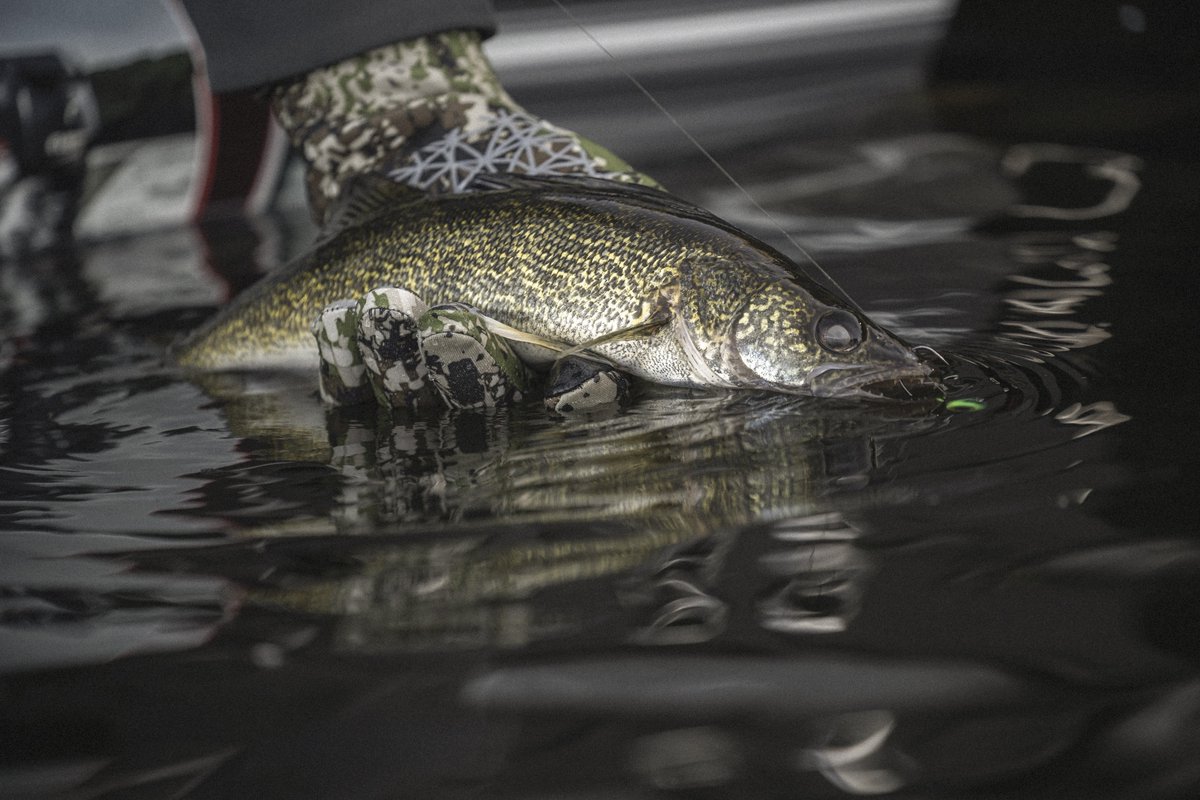 Sportsmans Warehouse tweet media