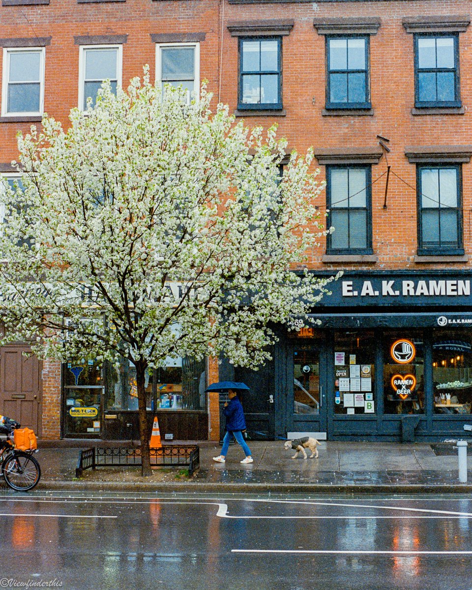 NYC Rain on 35mm Film