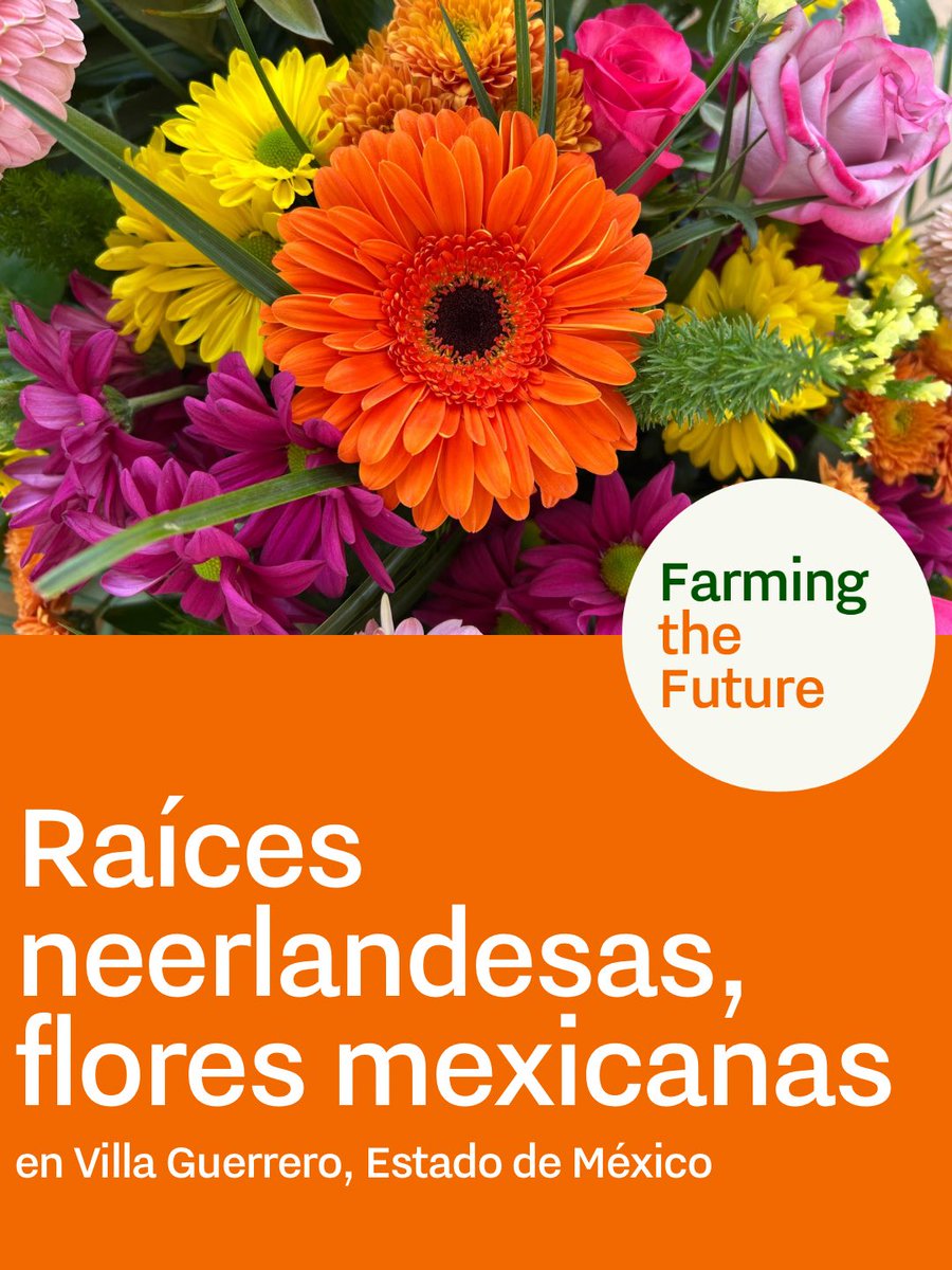 Embajada Países Bajos MX 🇳🇱🇲🇽 tweet media