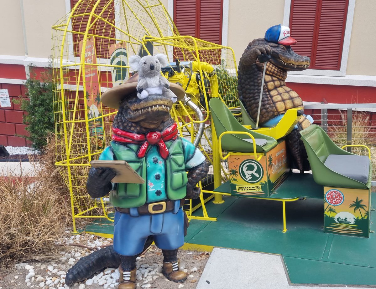ted_koala's tweet photo. NO FEAR @Ted_Koala ...

With Ted very much at ease among these 'gators' 🐊 @Ripleys 

✅ @ted_koala https://t.co/TpqmZpok9q