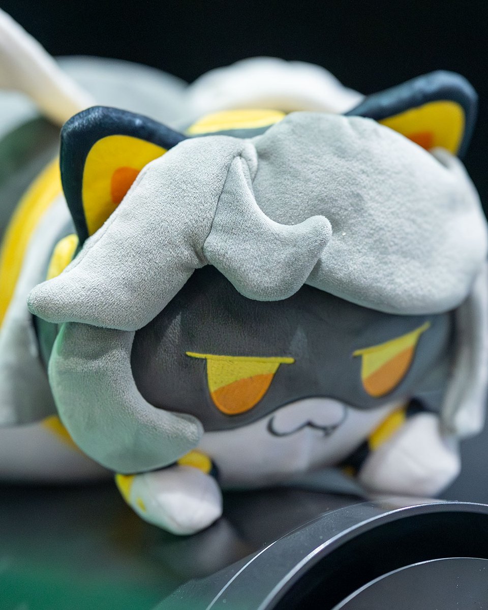 Fenworks tweet media