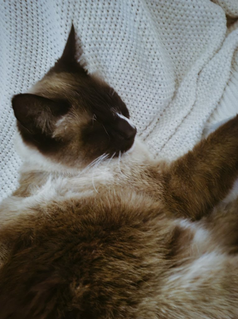 Nevi 🍁 tweet media