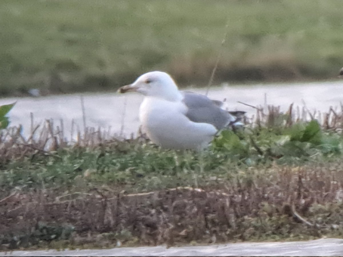 David Waddington tweet media