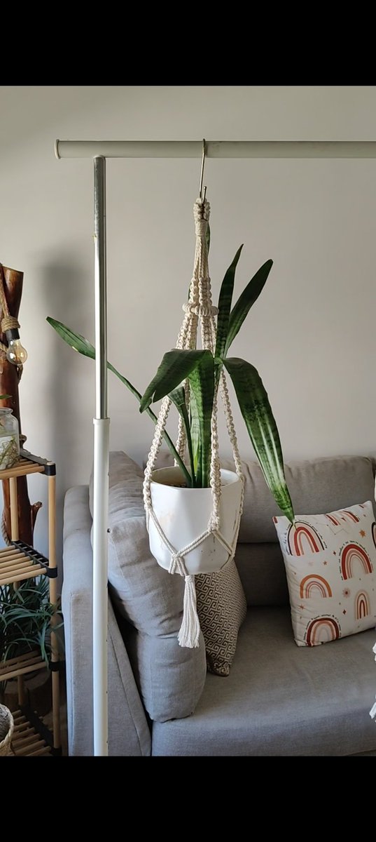 فَرْحـــي🌸🌿 tweet media