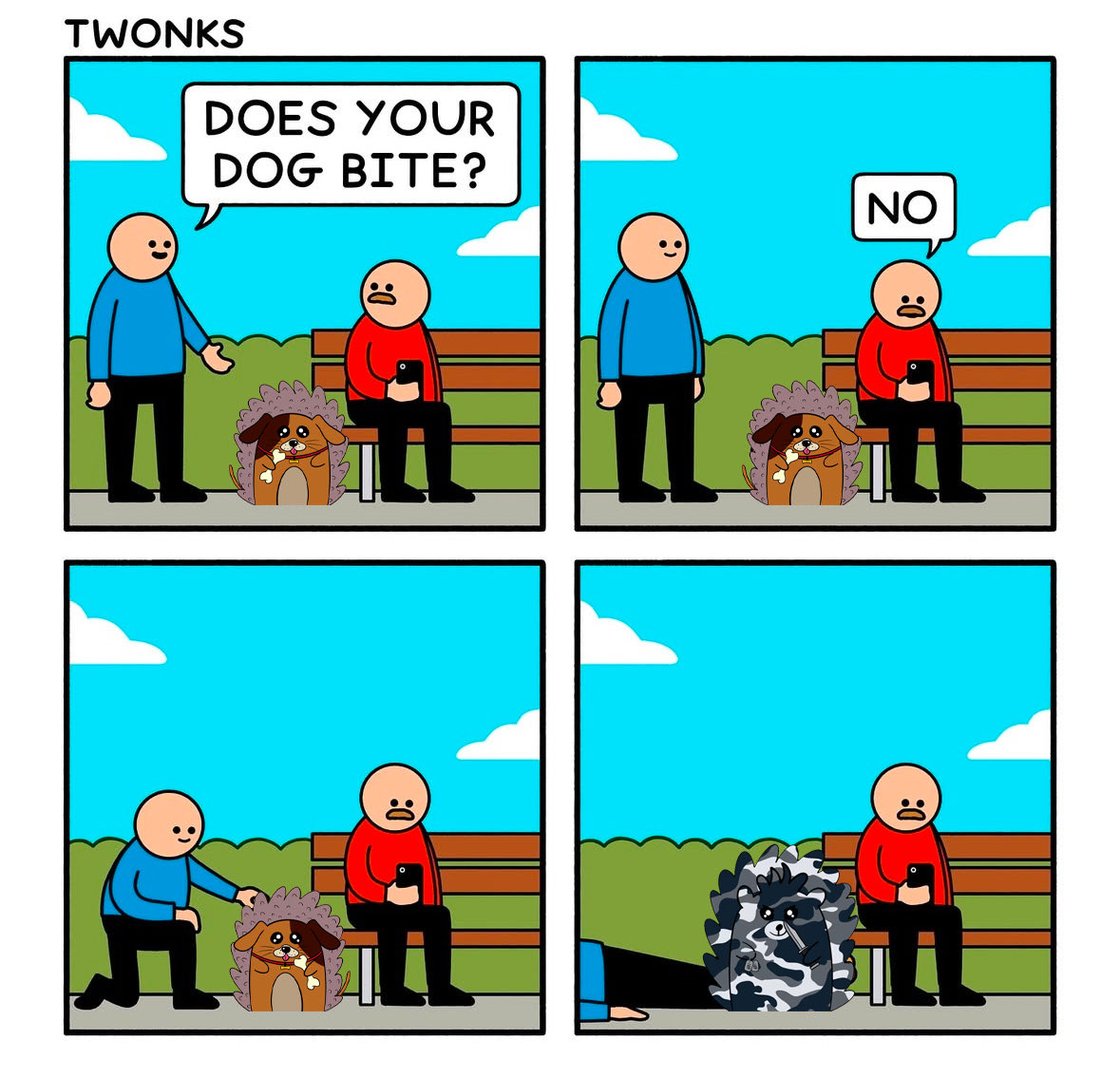 Fluffy Hedgehogs 🦔 tweet media