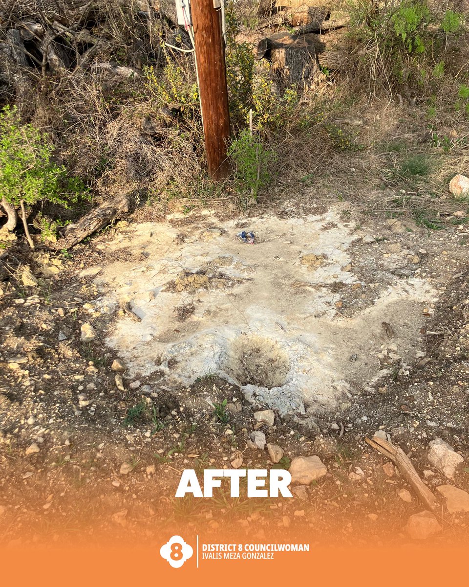 Councilwoman Ivalis Meza Gonzalez, District 8 tweet media