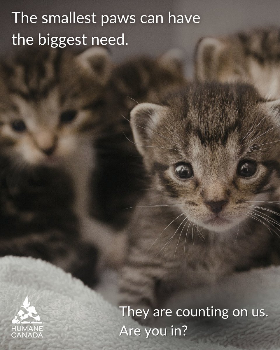 Humane Canada tweet media