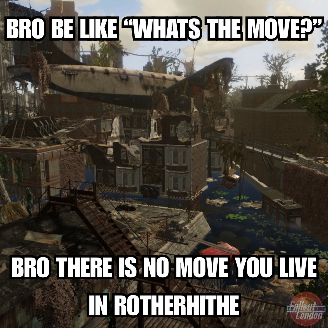 Team FOLON tweet media