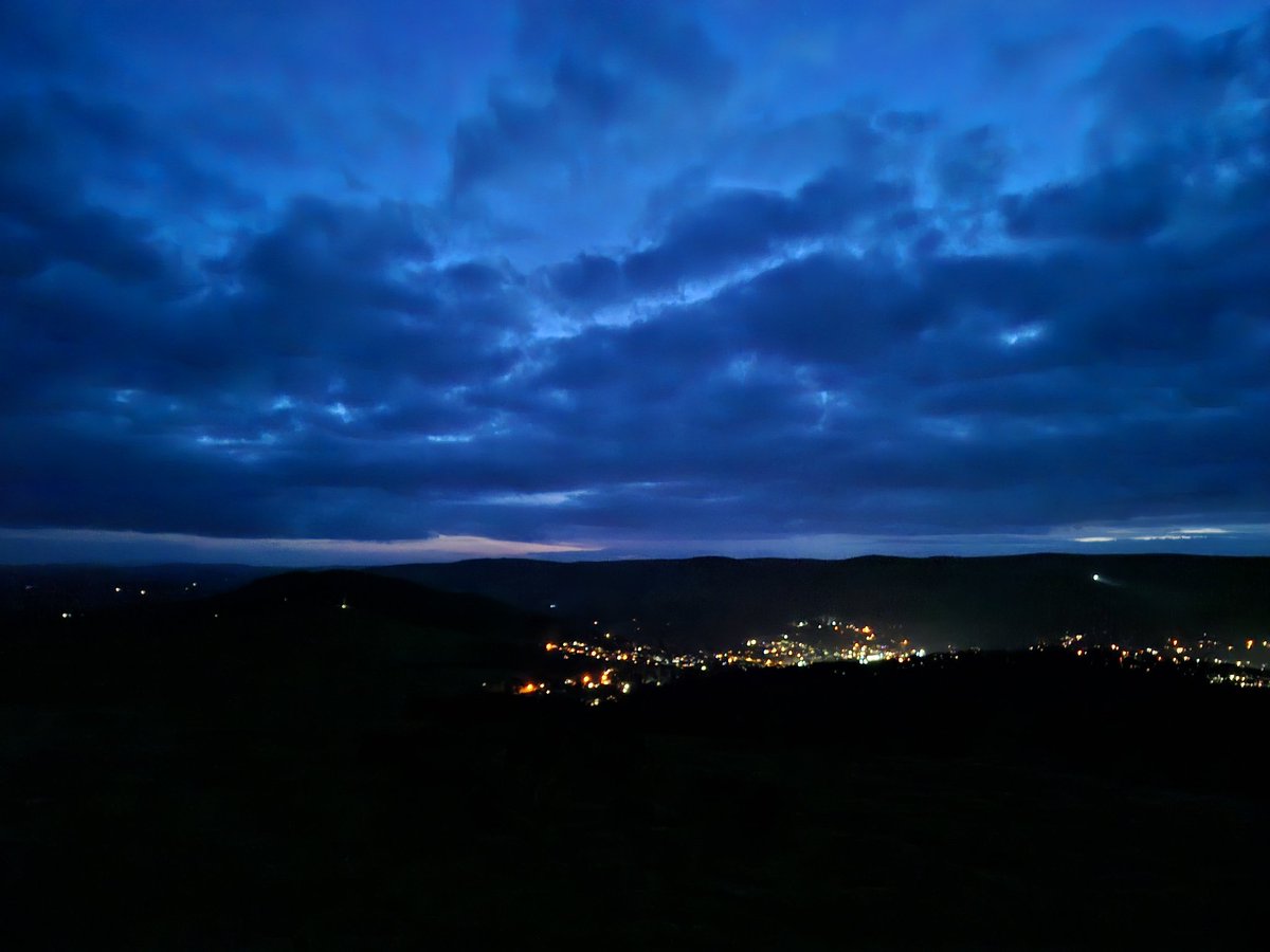 Lisa Wilde tweet media