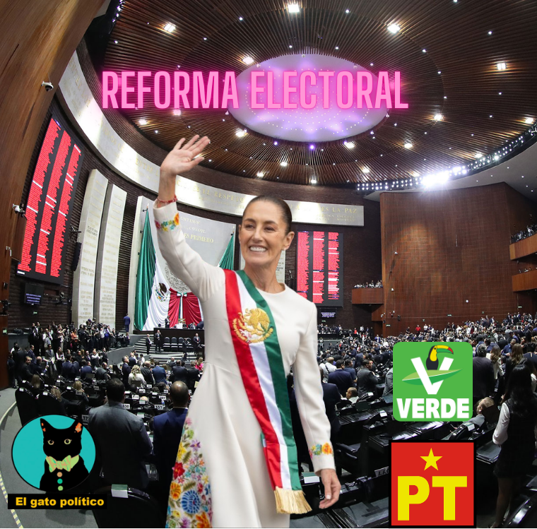 El gato político tweet media