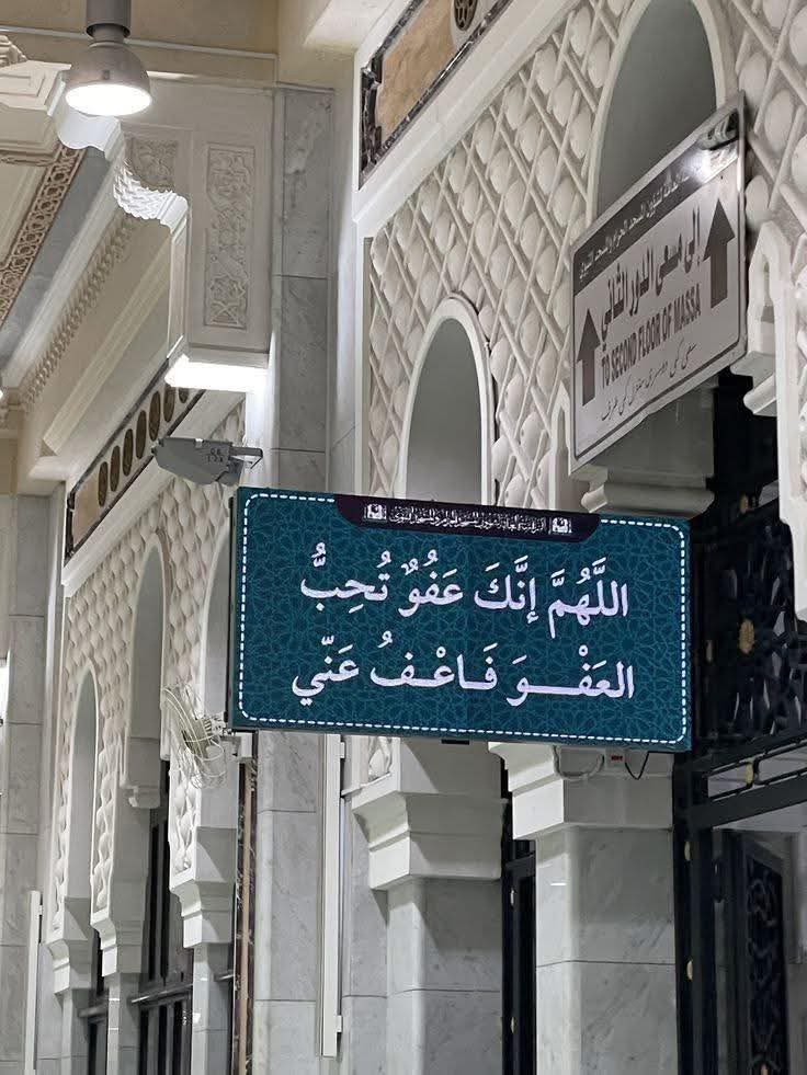 دِفء |🌿 tweet media