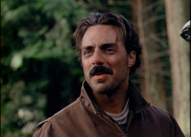 cinesthetic. tweet media