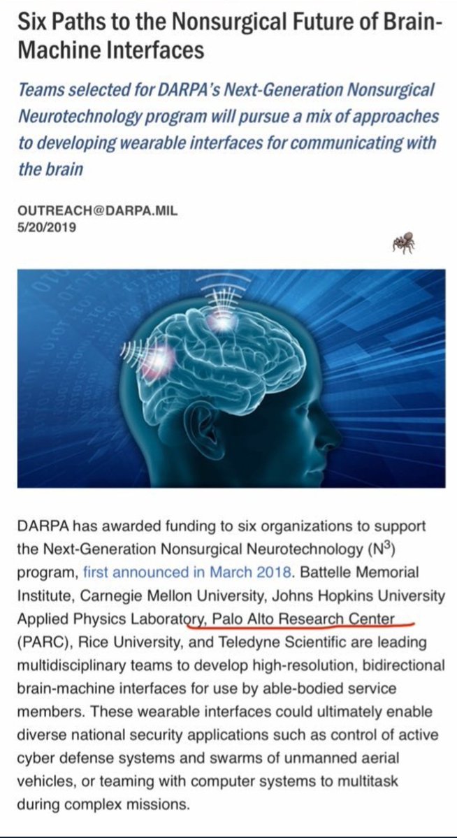 Ꭰ Ꮖ Ꭱ Ꭲ N Ꮜ P 🪦 tweet media