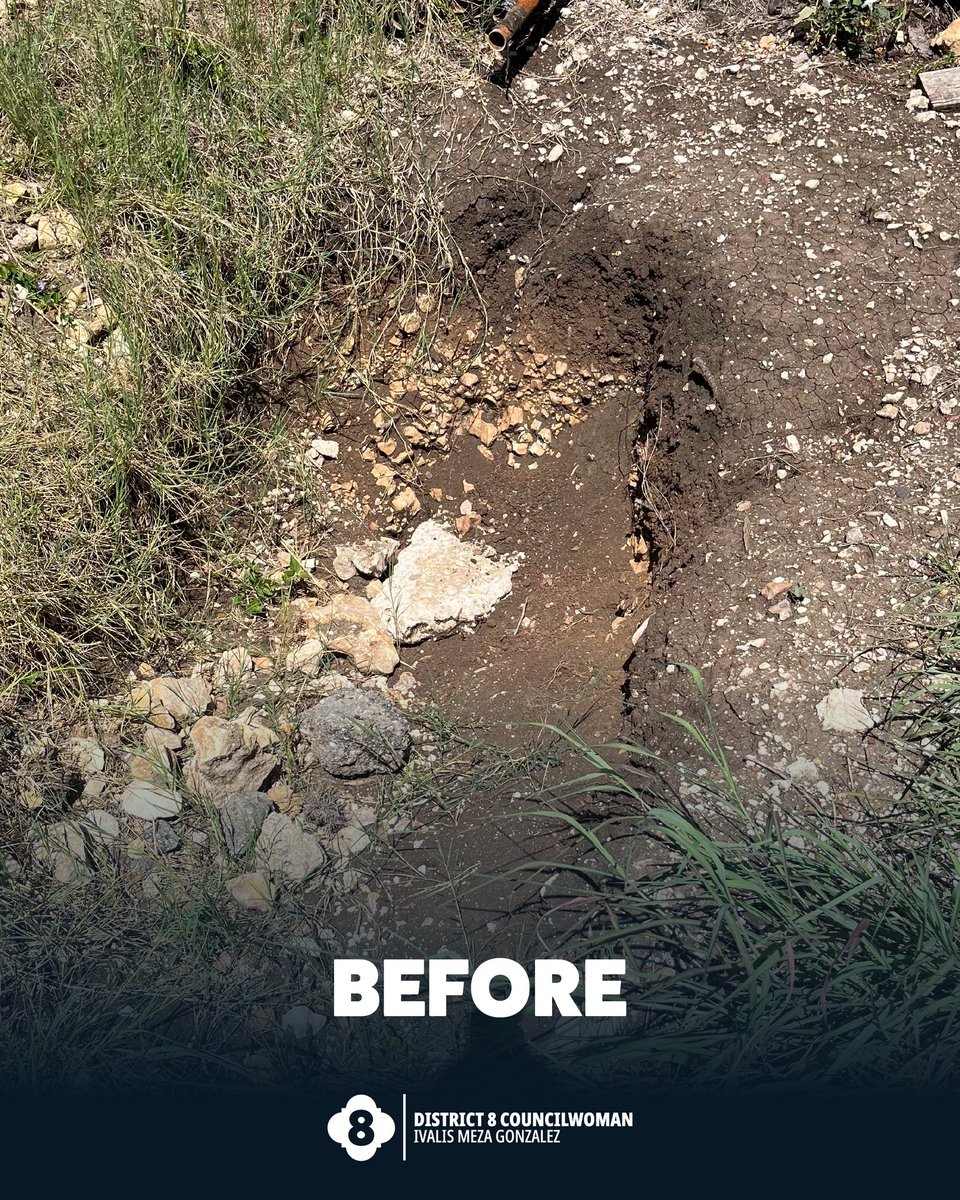 Councilwoman Ivalis Meza Gonzalez, District 8 tweet media