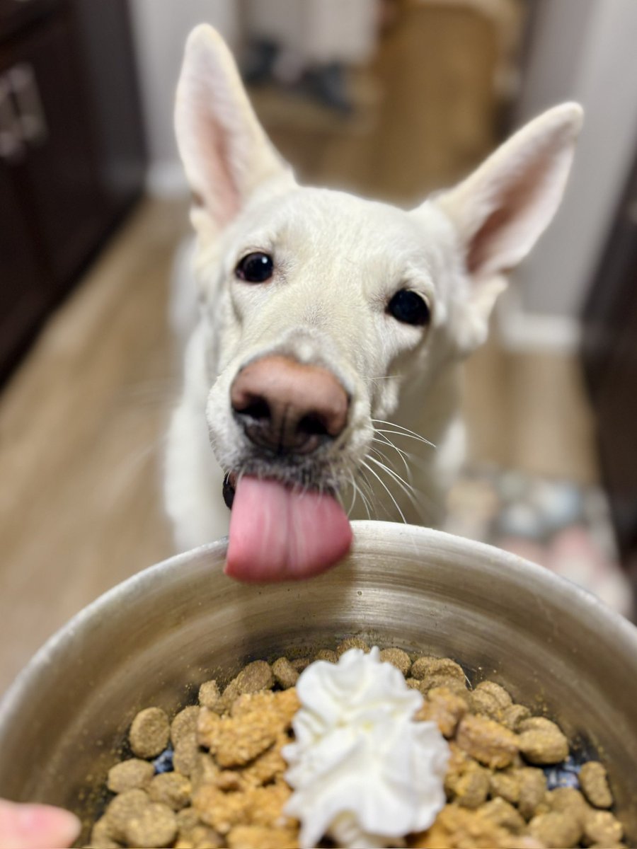 Ivory Robin 🌻🔪 tweet media