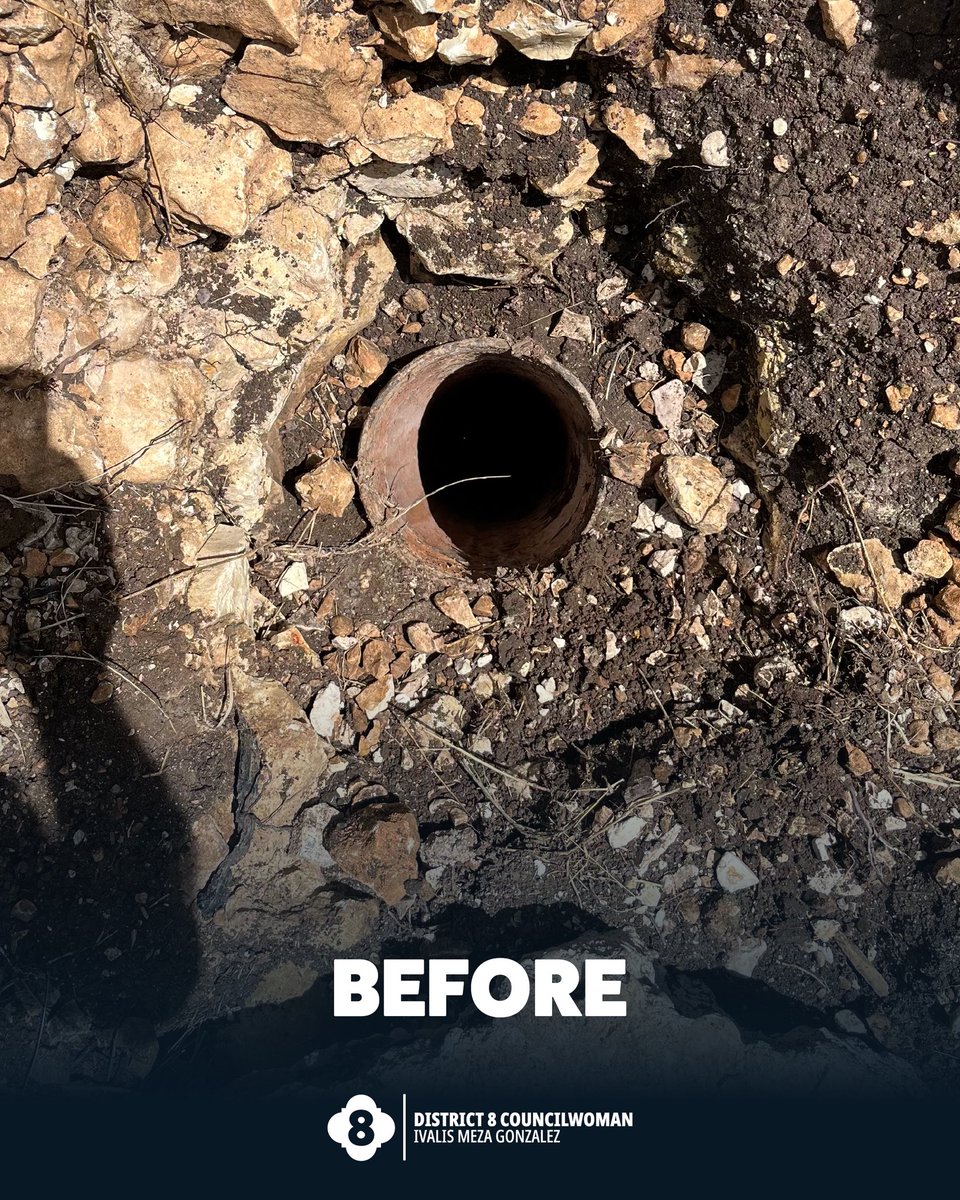 Councilwoman Ivalis Meza Gonzalez, District 8 tweet media