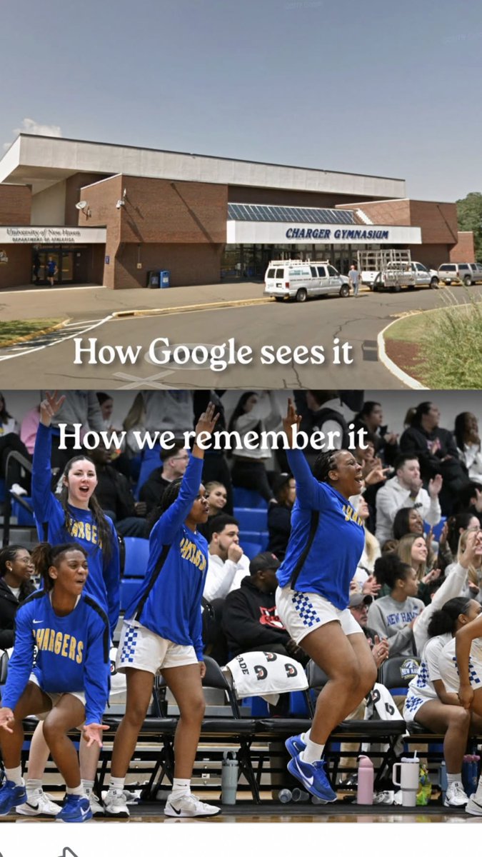 New Haven Women's Basketball tweet media