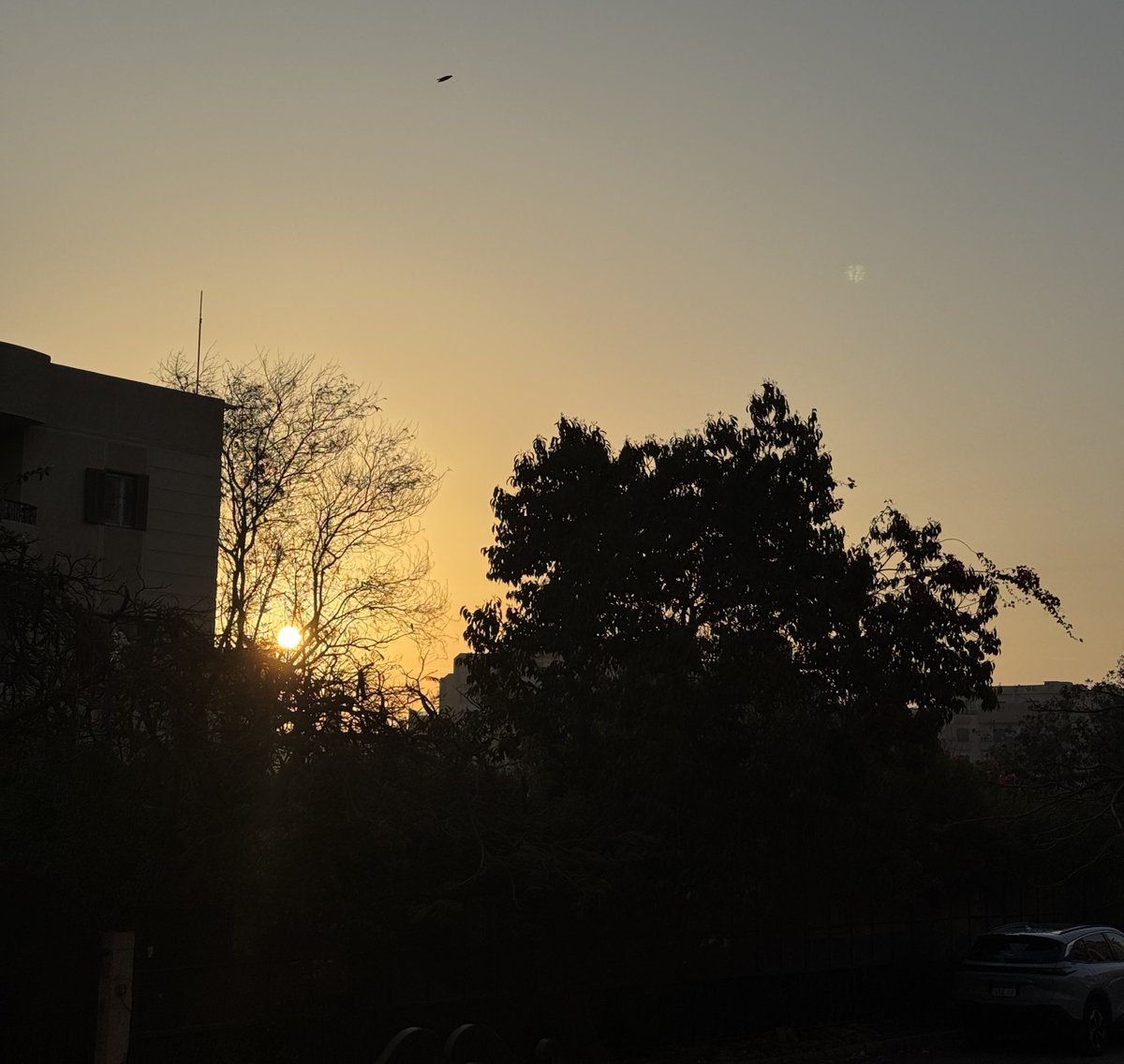 the cool hotdog tweet media