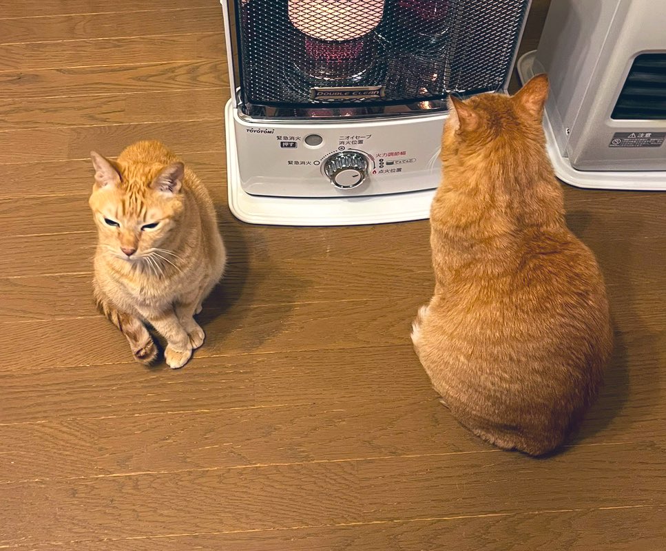 ソレイユ tweet media