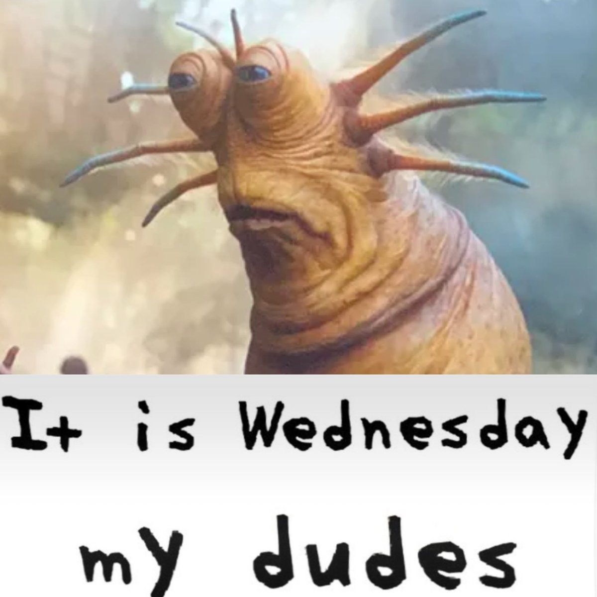 Ben (@bhx_1138) on Twitter photo 