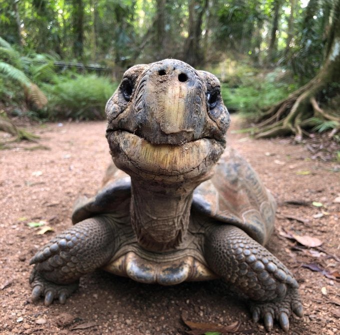 GoonPizzle 🌙 🥧 tweet media