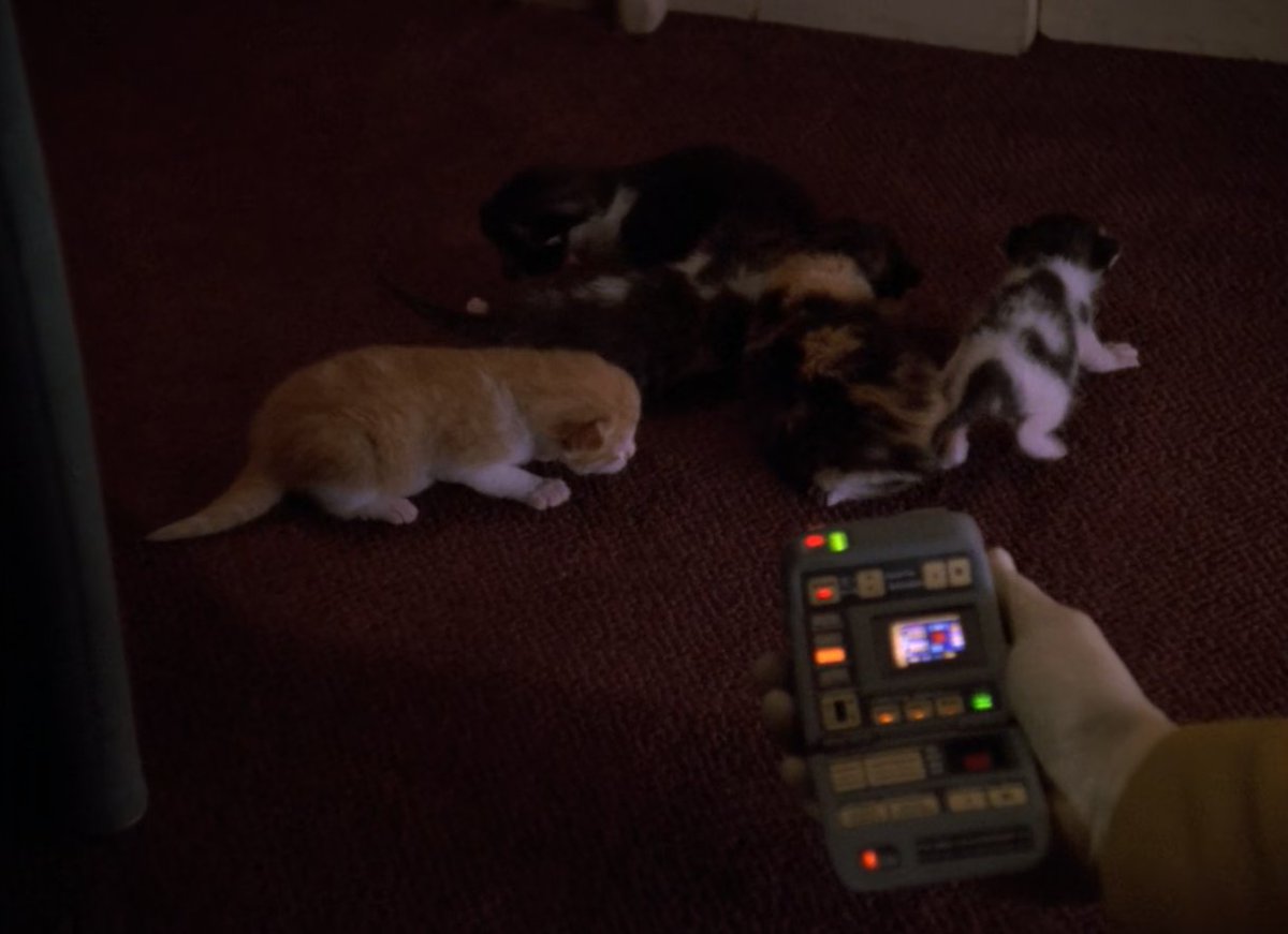 Jules 🪐 tweet media