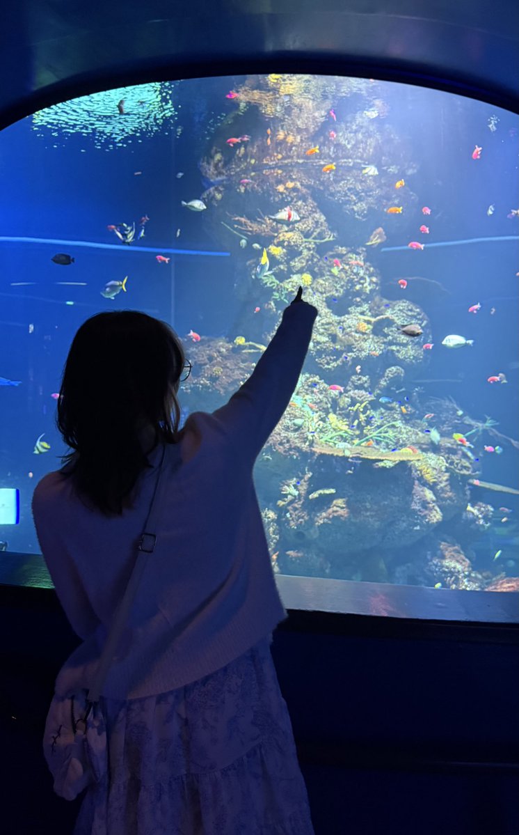 starxlyght 🦋💫 tweet media