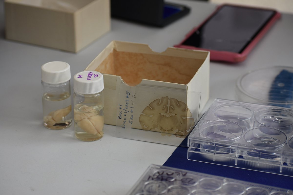 Facultad de Medicina tweet media