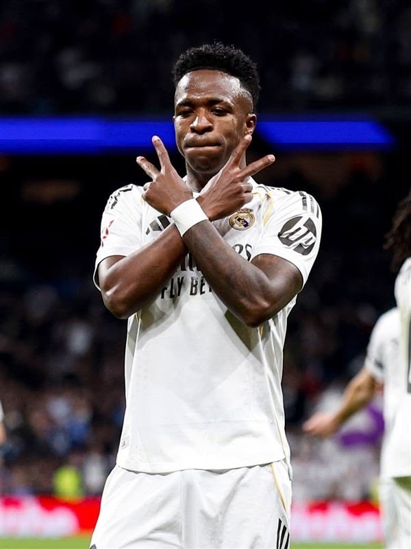 Madrid Zone tweet media