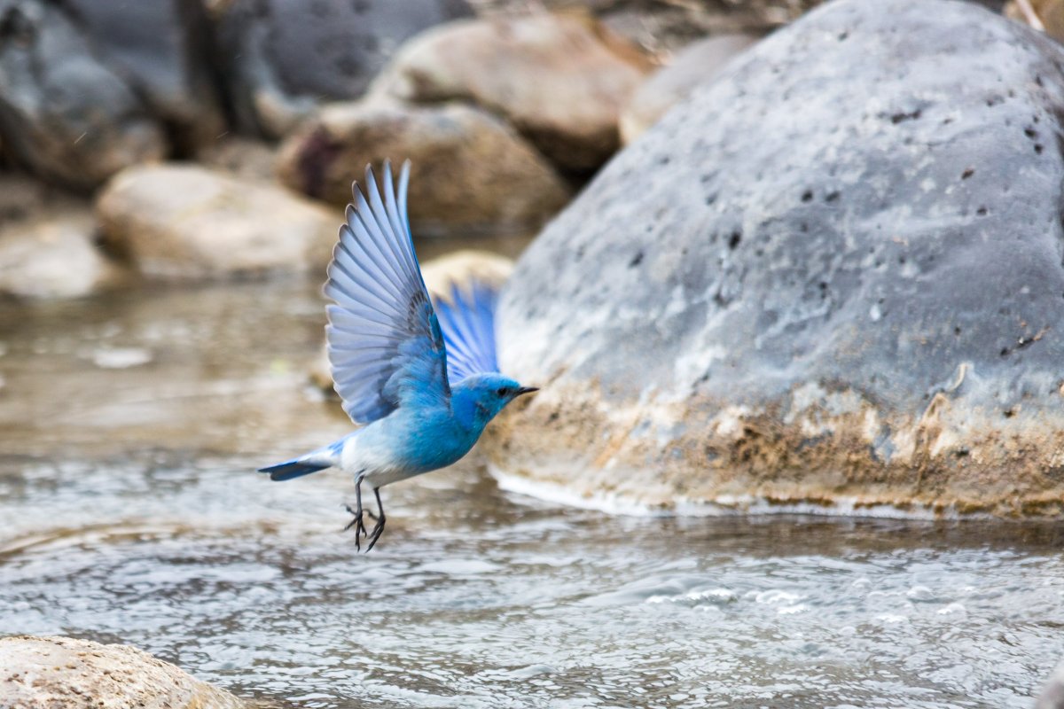 ynpforever tweet media