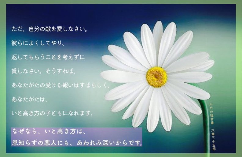 Love♡Jesus tweet media