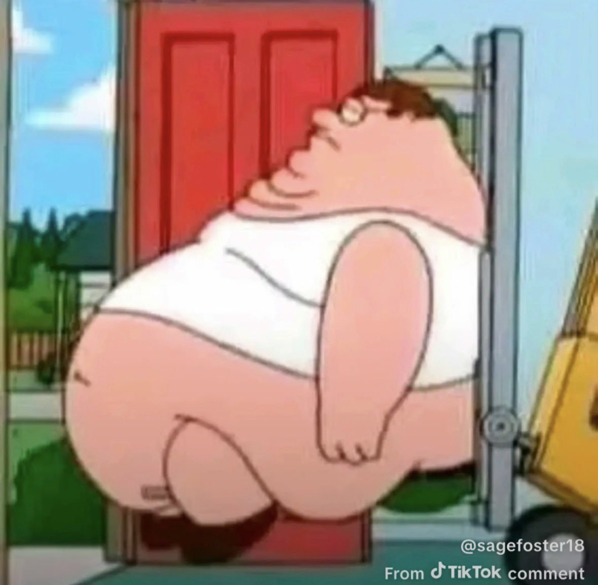 seki 🐾 shedtwt tweet media