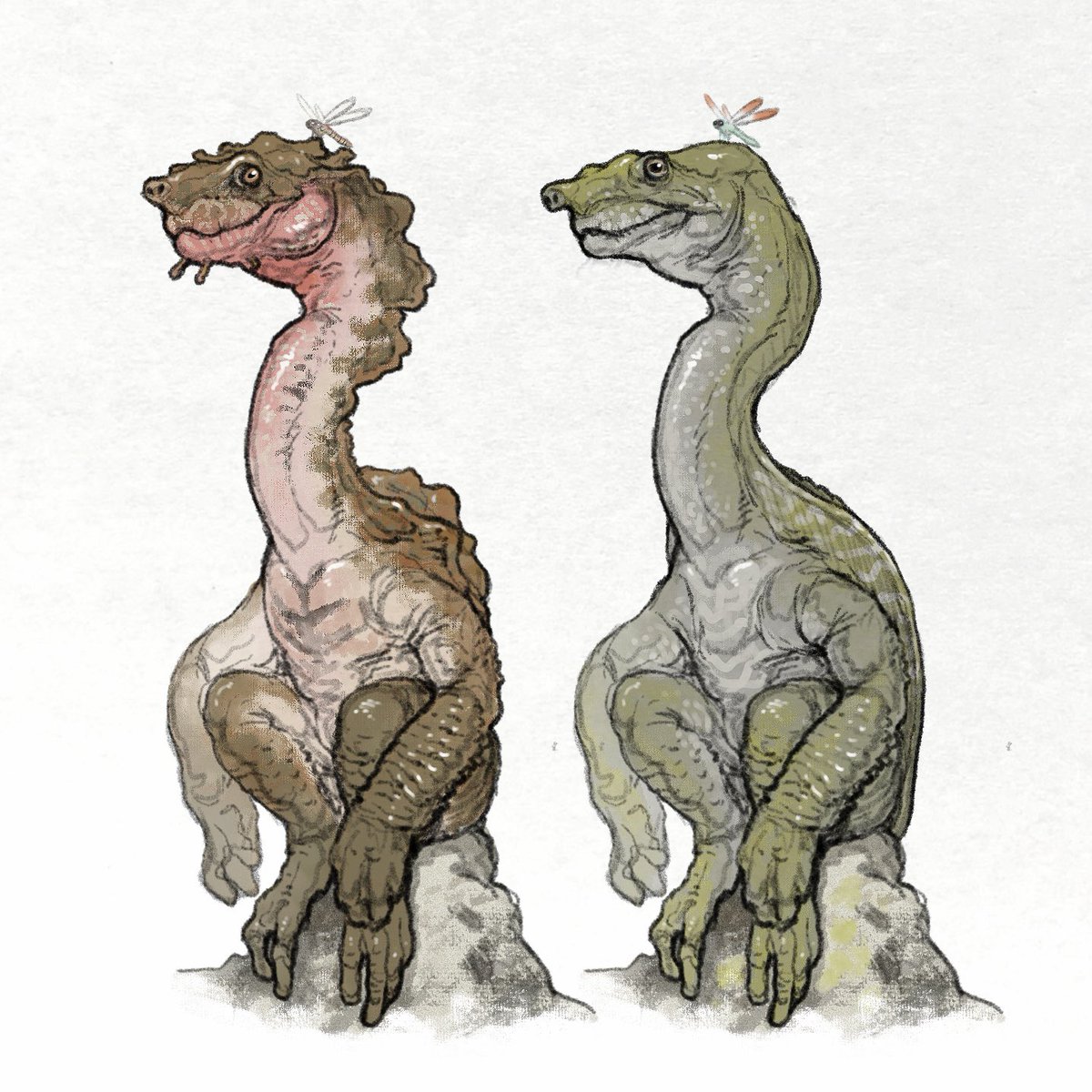 nao70shark tweet media