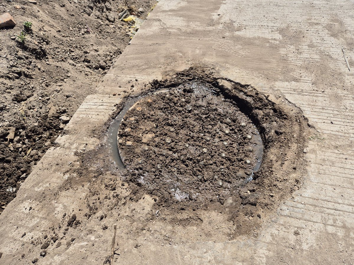 PPabloeas's tweet photo. @josejoseantonio @spublicos_dgo @DurangoCap buenas tardes solicitando su apoyo en frac Geraldine calle Fuerteventura 426 sigue saliendo aguas negras ayer atendieron reporte pero Burjascot olores fétidos @Sallvatoree @heber_noti121ed https://t.co/NYfhXgHCGq