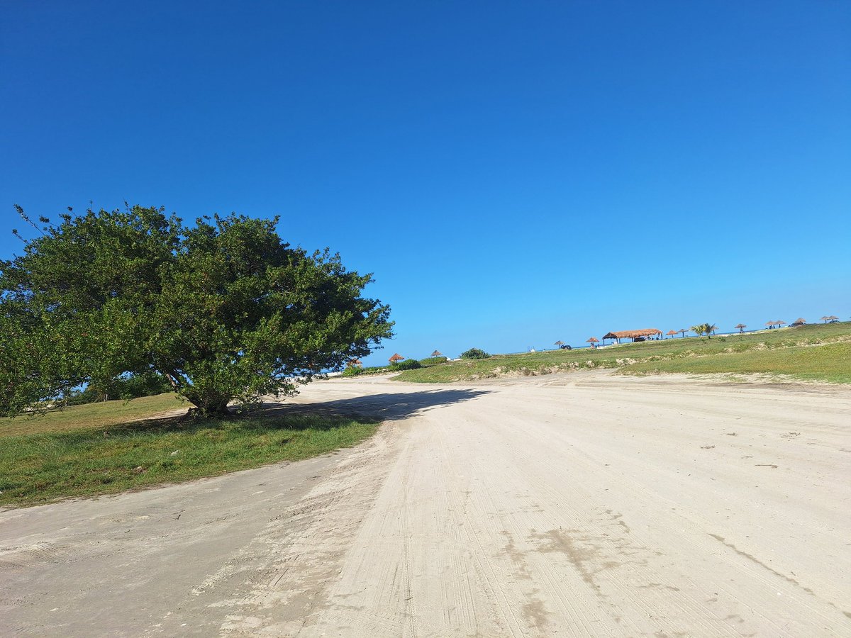 J&T pareja CDC tweet media