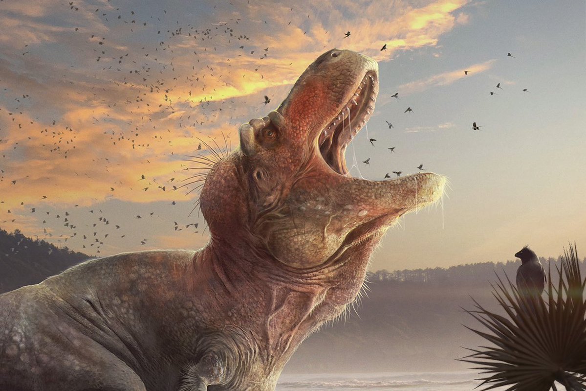 DragonsofWales 🇪🇺🏴󠁧󠁢󠁷󠁬󠁳󠁿 tweet media