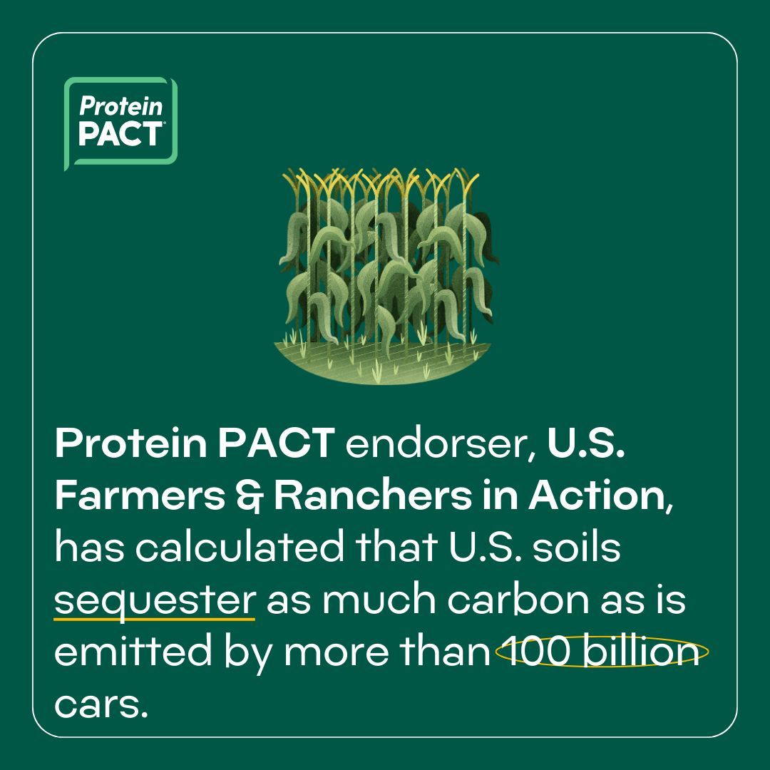 The Protein PACT tweet media