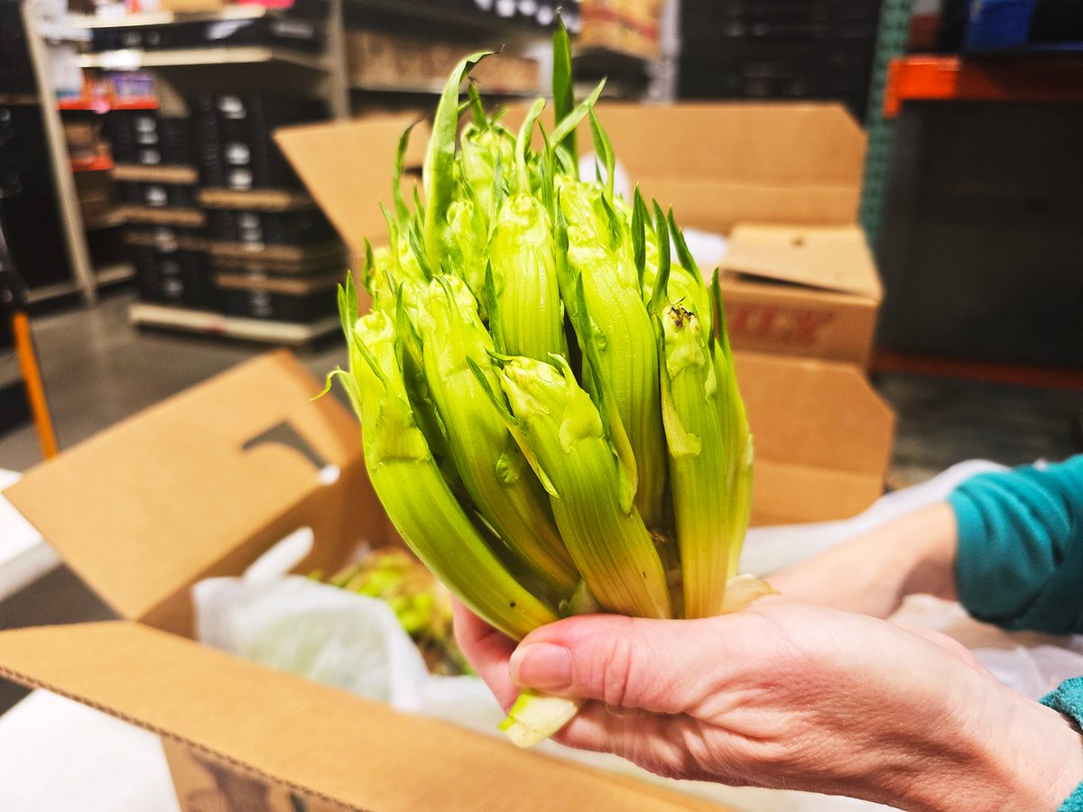 Amazing Grace Food Pantry tweet media