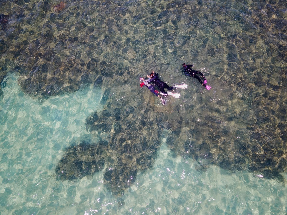 Warren Prior tweet media