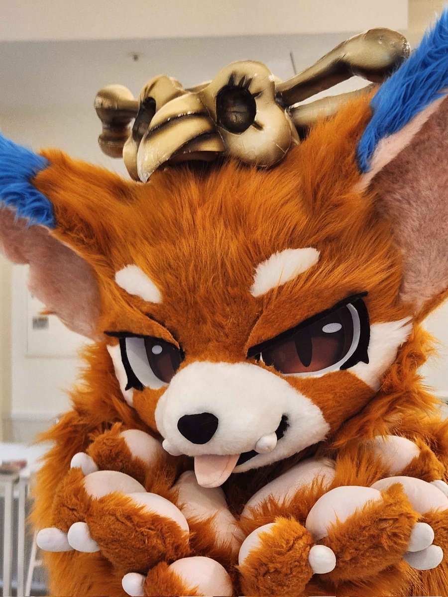 나요➫ 부코(양일),퍼스트클레스(양일) tweet media