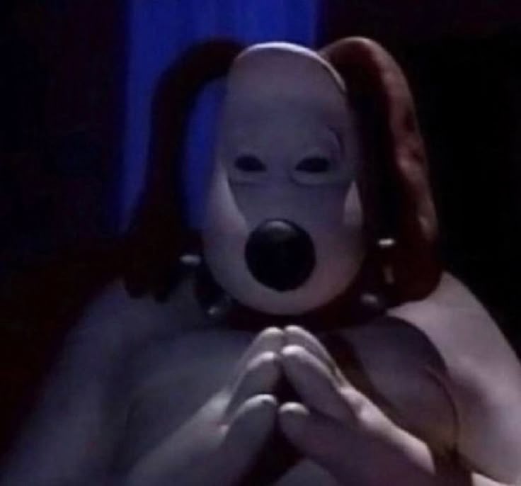 AXB | KingSheikah tweet media