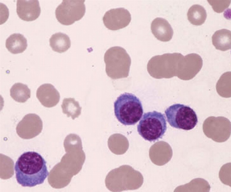 الجودة والتطوير tweet media