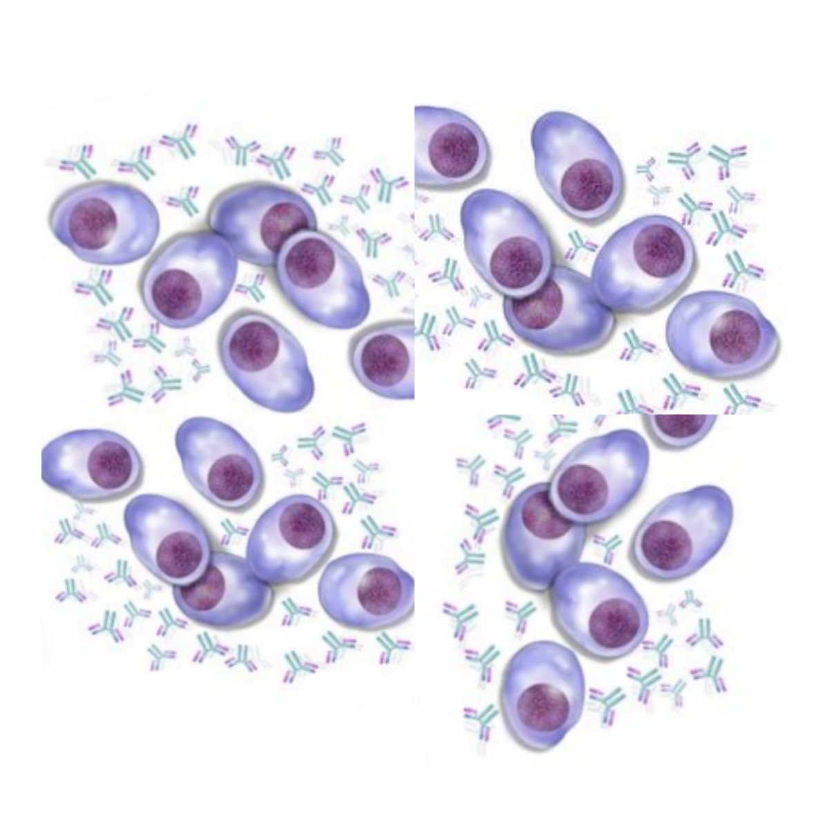 الجودة والتطوير tweet media