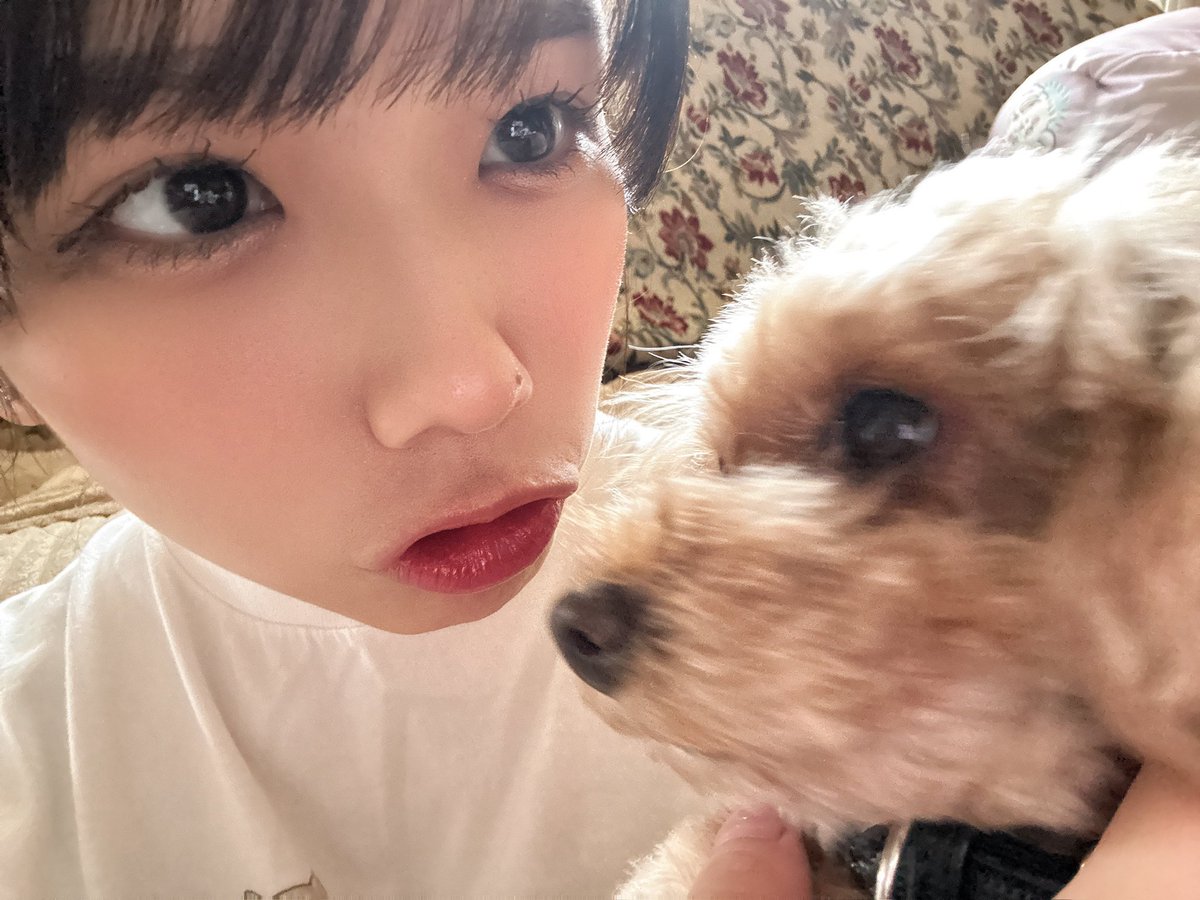 後藤まつり（てるてる）👶🏻写真集販売中 tweet media