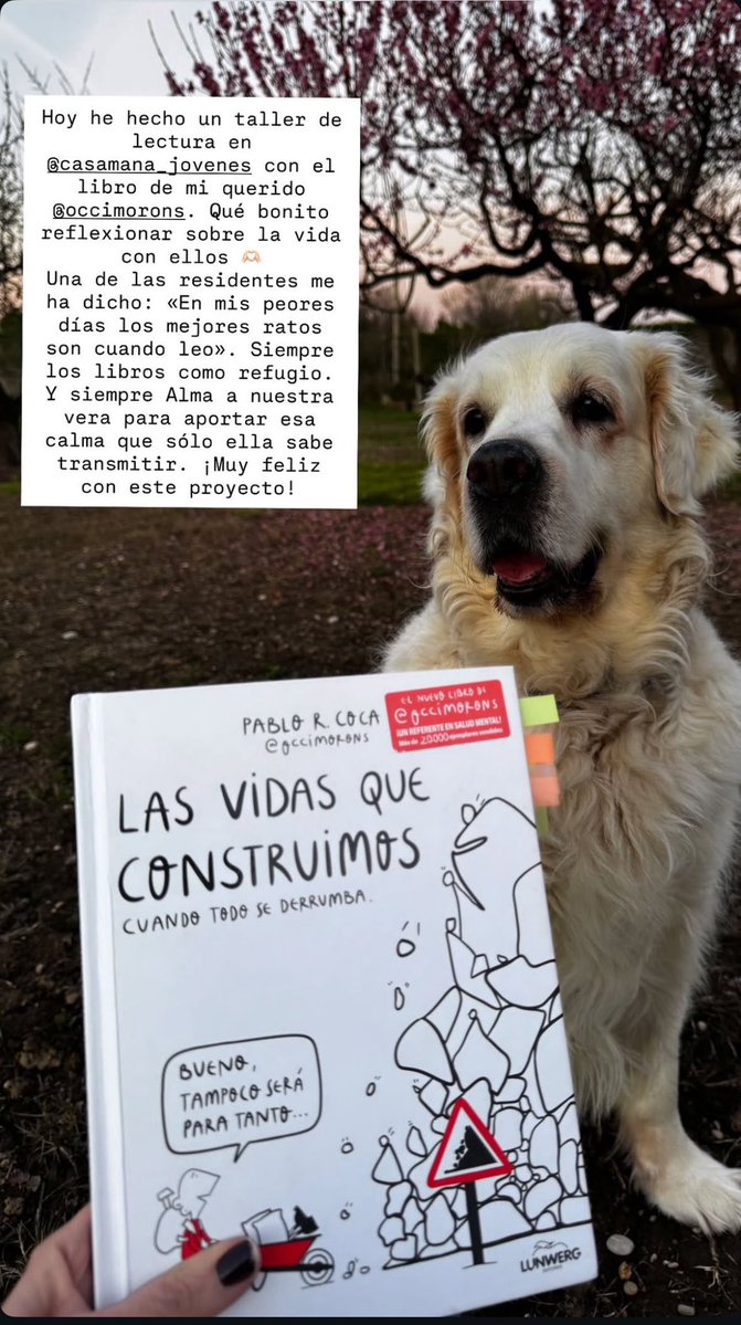 Occimorons -psicólogo tweet media