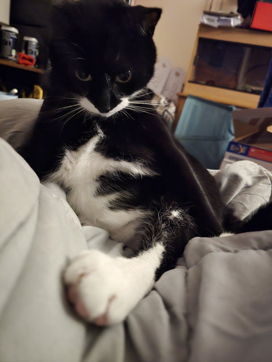 Magical Post-Nut-Shame Fairy tweet media