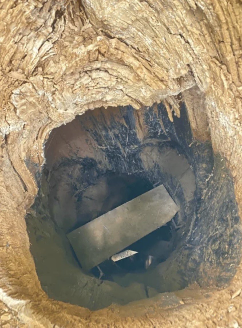 Edward Reid tweet media