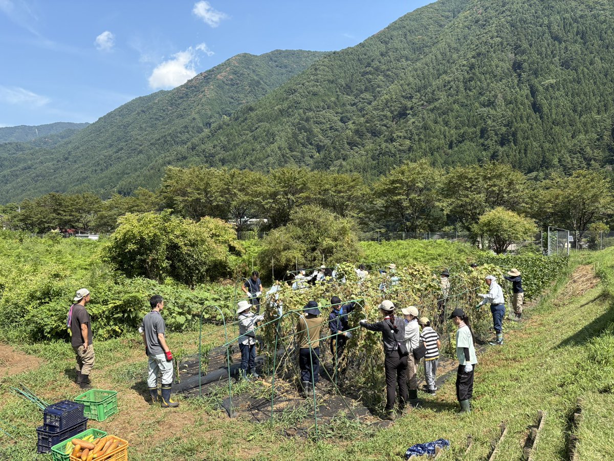 丹波山村 tweet media